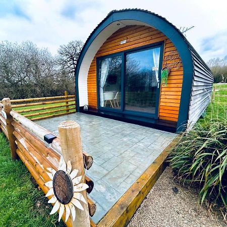 Beech Pod Cabin In Beautiful Surroundings Wrexham Eksteriør billede