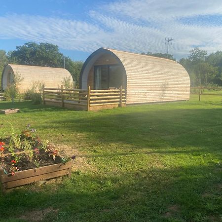 Beech Pod Cabin In Beautiful Surroundings Wrexham Eksteriør billede