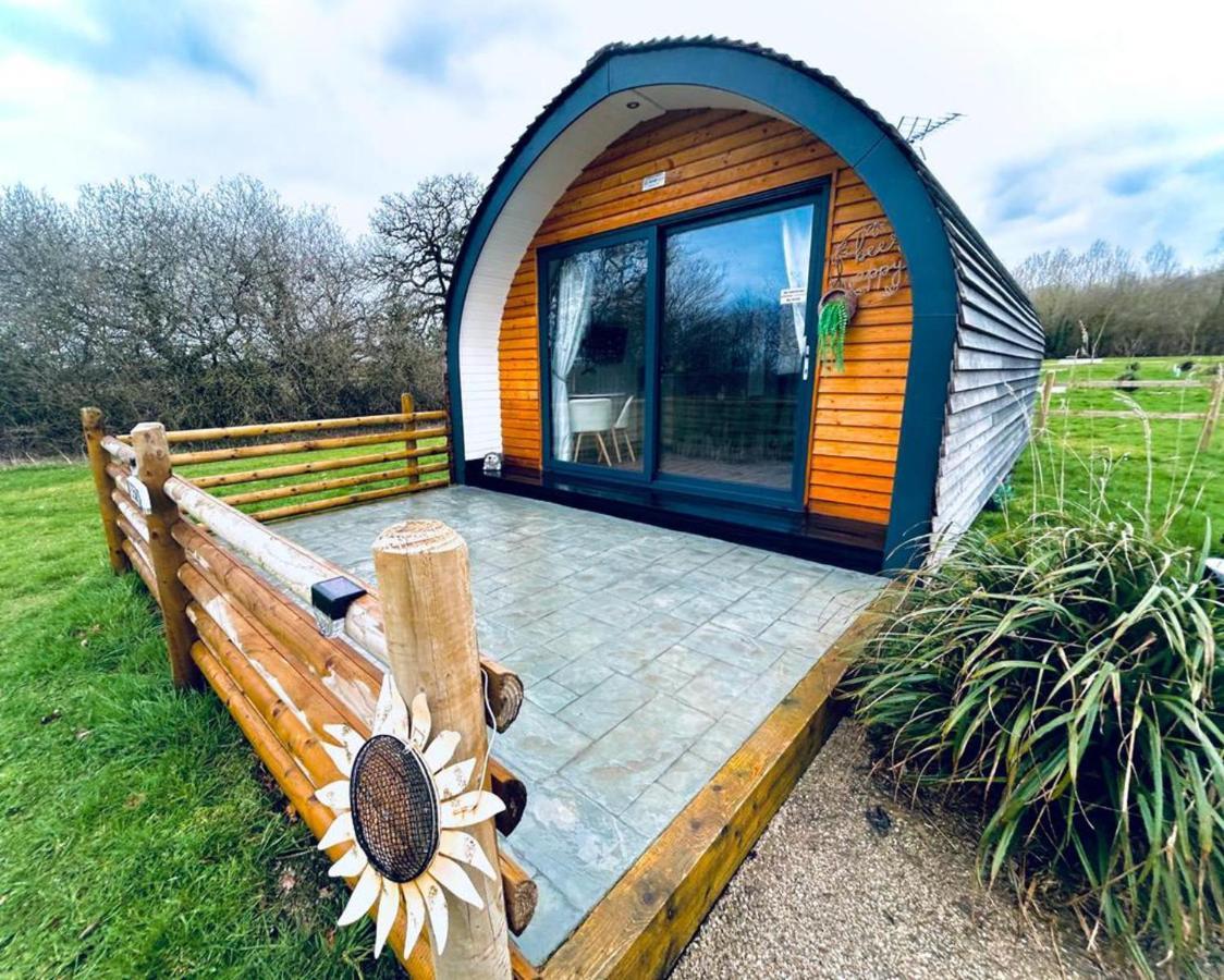 Beech Pod Cabin In Beautiful Surroundings Wrexham Eksteriør billede