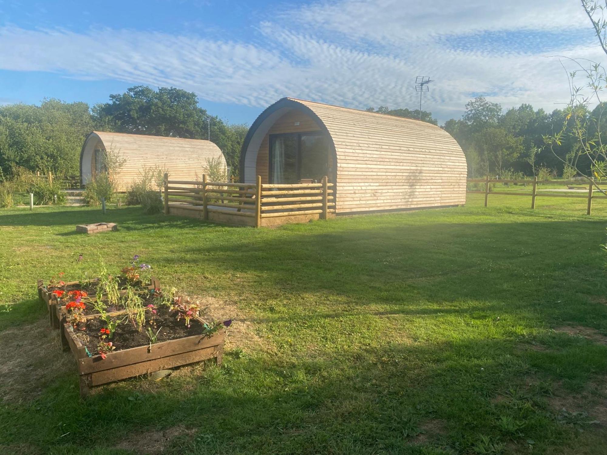Beech Pod Cabin In Beautiful Surroundings Wrexham Eksteriør billede